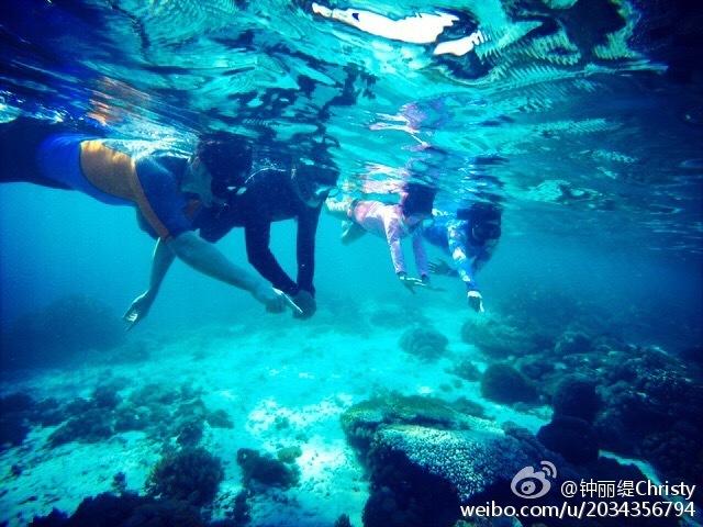 广东省政协委员为大湾区高质量发展建言献策